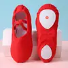 Zapatos de Baile de Tela Libre con Cordones para Mujer Suela Suave para Adultos Niños Pequeños Zapatos de Ballet Forma de Garra de Gato Zapatos de Yoga