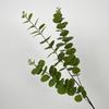 Simulação planta verde única 3D dinheiro folha casamento acessórios flor única folha decoração fabricantes em estoque cross-border atacado