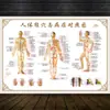 Papel Qigong Meridianos Parede de Casa Gráfico Medicina Tradicional Chinesa Saúde Ponto de Acupuntura Fitness Mural Cultura Oito Brocados Adesivo de Propaganda Cartaz