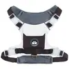 Correa para Perro Perro Bichón Corgi Arnés Perro Mascota Teddy Estilo Chaleco Grande Mediano Pequeño Shiba Inu Correa