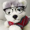 Muñeca de algodón de 20 cm hermana JK juguete gafas de gatito y cachorro de doble rayo de metal accesorios para fotos espejo decorativo para mascotas tendencia