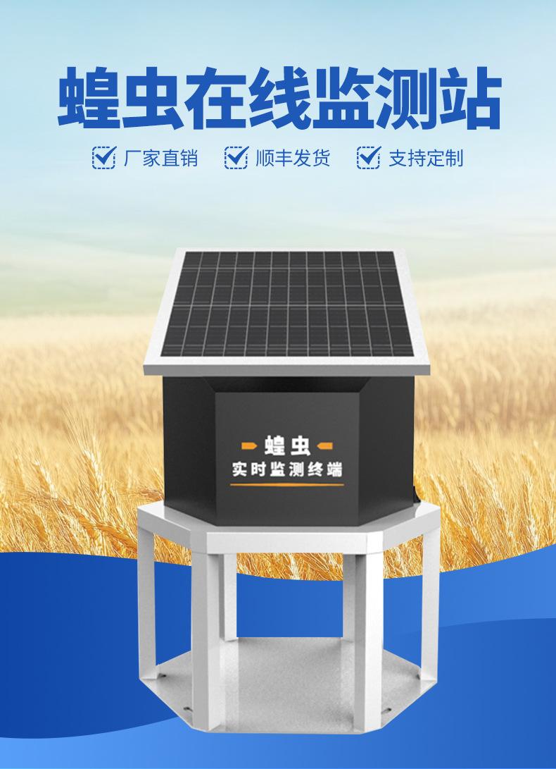 详情_01.jpg