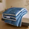 Colcha espacial de terciopelo de plumas Clase A para dormitorio de estudiantes solteros, adecuada para primavera y otoño, uso en todas las estaciones, núcleo de colcha de invierno engrosado
