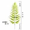 Helechos Simulados, Plantas Verdes de Plástico, Hojas de Helecho Persa, Helechos Cola de Fénix Dientes de Oveja, Arreglos Florales y Materiales, Hojas Falsas, Suministro Transfronterizo