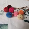 Cailuotong Passepartout Flores Secas Flores de Fruta Seca Literario Pequeño Fresco Arreglo Floral Hecho a Mano Decoración para Sala de Estar Dormitorio Pantalla