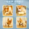 Pelota Juguete para Perro, Resistente a Mordidas, Resistente a Masticar, Cacahuete, Perro Grande, Cachorro Golden Retriever, Corgi, Bulldog Francés, Herramienta para Aliviar el Aburrimiento de Gatos y Perros