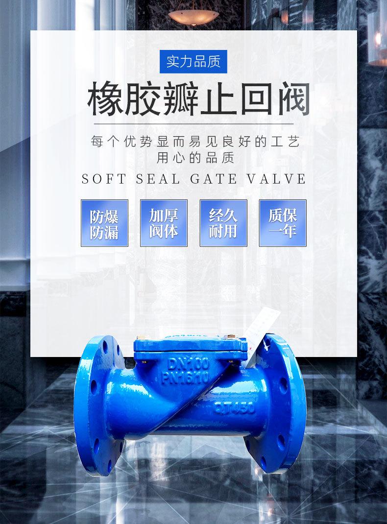 橡胶瓣止回阀_01
