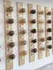 Museu de Sementes DIY para Jardim de Infância Caixa de Materiais de Criação Ambiental Corredor da Escola Arranjo de Criação Ambiental Caixa de Sementes
