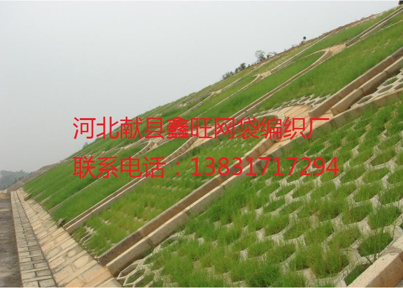 搜狗截图15年10月29日2221_12