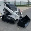 Mini carregadeira compacta, tipo bomba dupla e válvula dupla, carregadeira de rodas