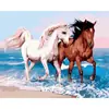 Dropshipping Transfronterizo Pintura al Óleo Digital al por Mayor Pinturas sin Marco 40X50 Amazon Wish Fábrica de Pintura Vestíbulo Ozon Caballo