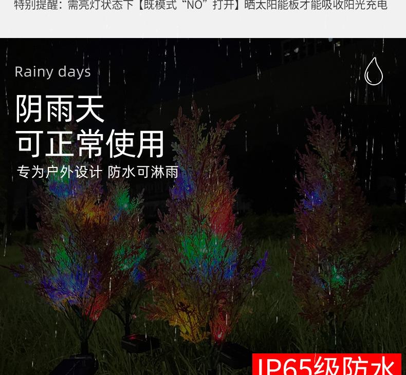 10(1)_09.jpg