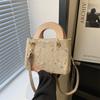 Coreano moda contraste cor tecido saco pequeno fresco bolsa de estilo estrangeiro 2024 primavera nova bolsa de mão casual para mulheres