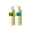 Champú Perfumado Personalizado Oem Control de Grasa Voluminoso Anticaspa Anti-Picazón Cuidado de Lujo Champú Perfumado Procesamiento Oem