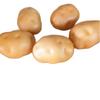 Batata Falsa Tomate Pimenta Filmes para Fotografia Adereços Decoração para Educação Infantil Modelo de Batata Vegetal de Alta Simulação