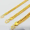 Vietnam Shajin Pulsera de Caballo con Carácter Fu para Hombre Oro Imitación Cadena de Jefe con Carácter Fu Artículos para Personas de Mediana Edad y Mayores En Vivo