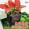 Cesta de Plantio Hidropônico para Aquário Suporte de Parede para Plantas Aquáticas Cesta de Plantio para Plantas Flutuantes Acessórios de Decoração para Paisagismo de Aquário