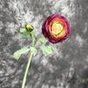 Simulação 2 cabeça reunindo orvalho de lótus flor artificial lasanha camélia decoração decoração tiro adereços flor de seda atacado