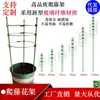 Suporte para Flores, Suporte para Flores de Rosa, Vaso de Planta, Haste de Suporte para Flores de Interior, Suporte para Plantas Verdes de Jardinagem, Treliça para Plantas Trepadeiras, Suporte para Plantas Verdes de Sala de Estar