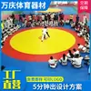 Tapete de Competición de Lucha Libre, Material XPE Engrosado, Antideslizante para Boxeo, Cubierta de Color Único/Tres Colores, Pieza Única, Tapete de Entrenamiento Escolar, Absorción de Impactos