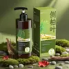 Shampoo Herbal Quente do TikTok Platycladus Orientalis Folha e Gengibre, Não Ant Queda de Cabelo, Crescimento Capilar, Controle de Oleosidade, Volumizador, Anticaspa Atacado