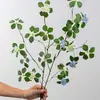 Planta de Simulação Zen Chinesa Galhos Secos Cipó Seco Cipó Rosa Selvagem Decoração de Mesa para Casa Folha de Lótus Guanyin