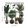 Adesivos de Parede de Plantas Verdes em Vasos, Papel de Parede, Decorações de Parede, Adesivos de Decoração para Casa em Shoppings, Adesivos Impermeáveis Autoadesivos de PVC, Gráficos Personalizáveis