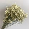 Grama de cristal buquê de flores eternas arranjo de flores buquê de flores com material diy adereços de tiro aromaterapia flor atacado