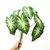 Decoración de pared con hojas de simulación de plantas verdes transfronterizas, hojas de lomo de tortuga, hojas de taro de hadas, ingeniería de pared vegetal, paisajismo, lote de material de hojas