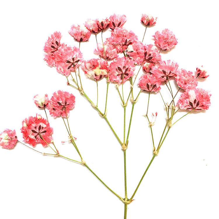 O1CN01lhNYqu2Ace05KOgLG_!!3984