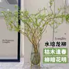 Plantas Hidropónicas, Ramas Frescas de Sauce Dragón, Flores Cortadas, Plantas Verdes Estilo Wabi-Sabi Cultivadas en Agua, Nandina, Sauce de Nieve, Ramas Secas, Plantas en Maceta Colgantes para Interiores