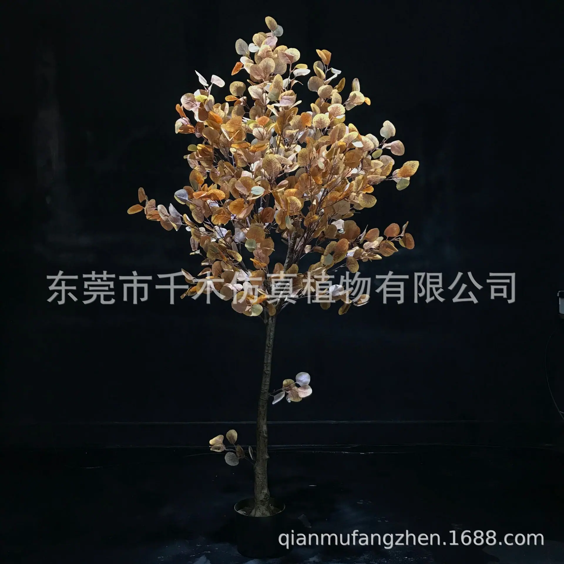 微信图片_2021121114341814