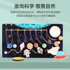 Rompecabezas Infantil Sistema Solar Ocho Planetas Caminar Cognitivo Rompecabezas Jardín de Infancia Clase Pequeña Educación Temprana Exploración Científica Rompecabezas