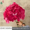 Cacho de Hortênsias Base, Hortênsias Coloridas, Adereços para Fotografia e Exibição Visual, Flores Artificiais, Flores Artificiais de Alta Qualidade para Corredor de Casamento