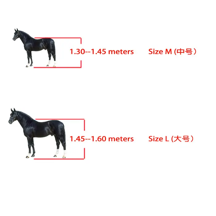 SIZE.jpg?x-oss-process=image/format,png