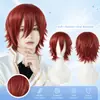 Peluca de Amazon para cosplay de anime, cabello sintético corto rizado de color recogido para hombres y mujeres, peluca de cabeza completa