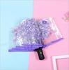 Guarda-chuva Automático Margarida Pequena Guarda-chuva Transparente Guarda-chuva Casual de PVC Estilo Japonês Deusa Guarda-chuva Dobrável para Estudante Pode Adicionar Logo