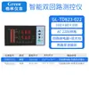 Controlador de temperatura, presión y nivel de líquido de doble circuito y doble haz de luz con dos instrumentos de visualización y dos entradas de señal 485