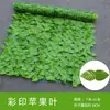 Malla de Valla de Hojas Verdes Artificiales de Plástico Transfronteriza Valla de Hojas de Planta Verde Falsa Decoración de Patio Exterior Potos Trepador Tigre