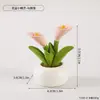 Mini adornos creativos de resina de frutas y verduras para la paz, la alegría y la buena fortuna, adecuados para la decoración de escritorio y de coche