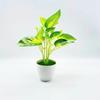Planta Verde Simulada en Maceta Flor Artificial Hoja Bonsái Rábano Verde Simulado Bonsái de Hoja de Perilla Adornos de Flores Artificiales Suministro Transfronterizo