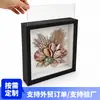 Caja de almacenamiento para exhibición de plantas y conchas, portafotos hueco para especímenes transfronterizos, caja de sombras de almacenamiento hueca con lámina de PS desmontable