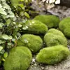 Paisagismo Decorativo Árvores de Simulação Mini Árvores Frutíferas Salgueiros Árvores de Folha Dourada Suculentas Musgo Micro Paisagem Materiais DIY