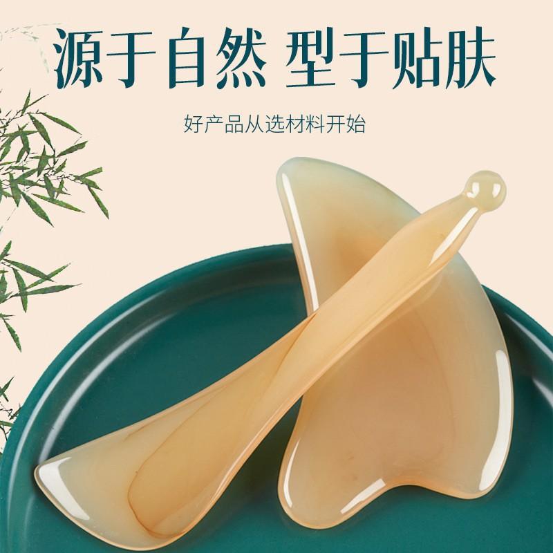 O1CN01XdUjIn1TVkf4xBfmX_!!1113