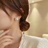 Brincos de Pérola Espiral com Zircônia Microincrustada, Brincos de Design Espiral Niche da Moda, Brincos de Pérola Elegantes e Estilosos de Celebridade da Internet