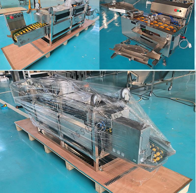 小型洗蛋机详情_05