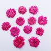 Xiao Xiangqing Flor Seca Em Relevo Maquiagem de Beleza Arte de Unhas Adereços para Sessão de Fotos Cartão de Felicitações Marcador Infantil Feito à Mão