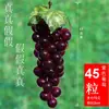 Decoração de Cachos de Uva Roxa e Verde Simulação Uvas Plásticas Falsas Folhas Verdes Videiras de Uva Videiras de Frutas Enfeites Plantas Teto