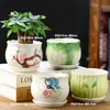Vaso de flor de suculenta em cerâmica com prato, oferta especial, diâmetro grande, tamanho grande, vaso criativo para suculentas de casa