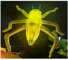Lâmpada Animal Inseto Simulado para Exterior Dinâmica Luminosa Formiga Aranha Borboleta Abelha Joaninha Libélula Pendente Árvore Lâmpada Decorativa
